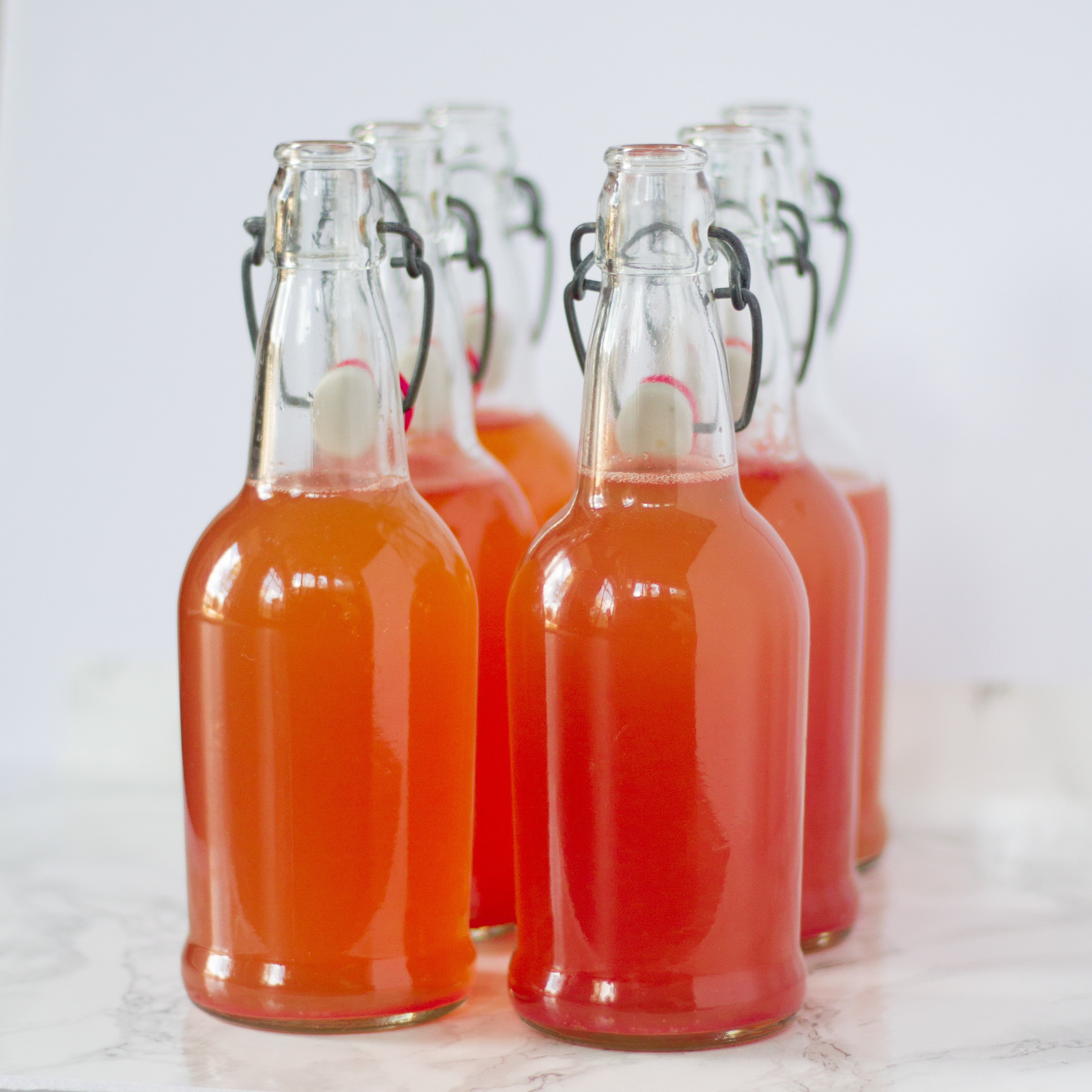 How to Brew Kombucha - Beth Dreyer